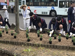 駅ロータリー花苗植え